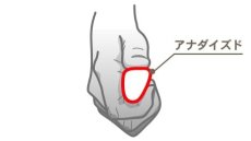 画像2: CARBO LIFE ハンドリム  カーブ L (2)