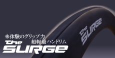 画像1: Natural Fit SURGE  (1)